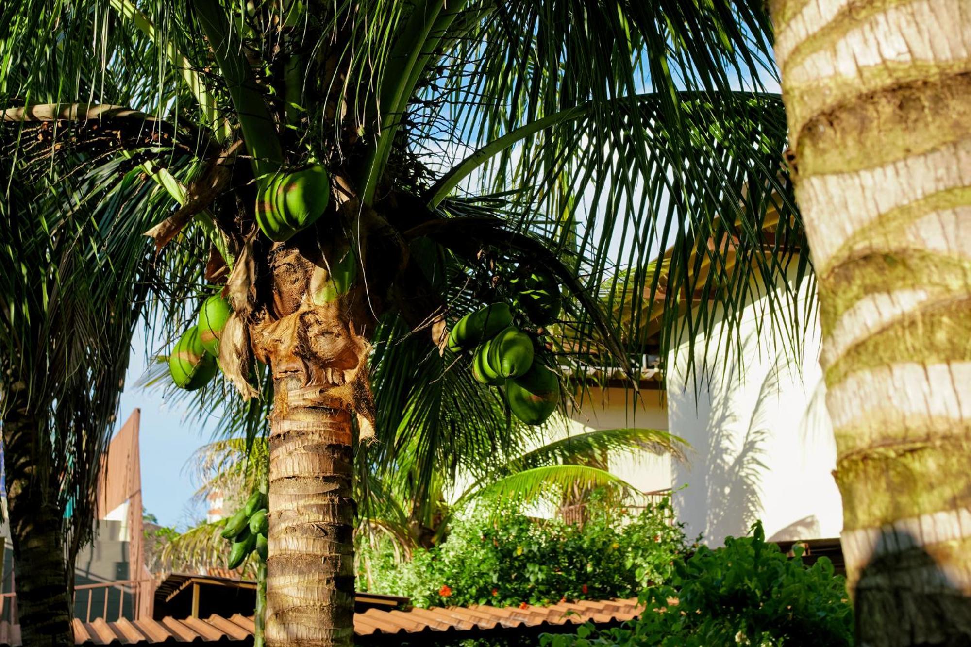 Velinn Hotel Natureza Foz Foz do Iguaçu Eksteriør billede