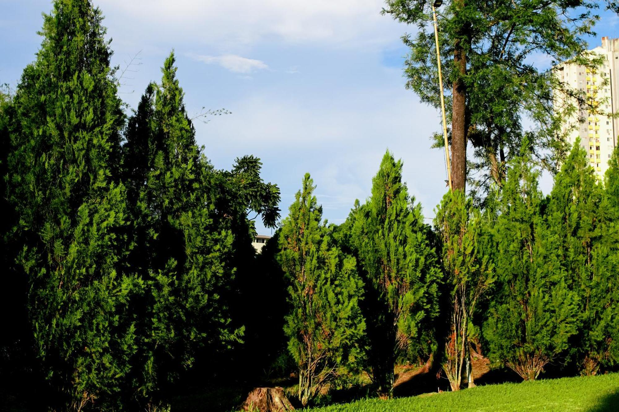 Velinn Hotel Natureza Foz Foz do Iguaçu Eksteriør billede