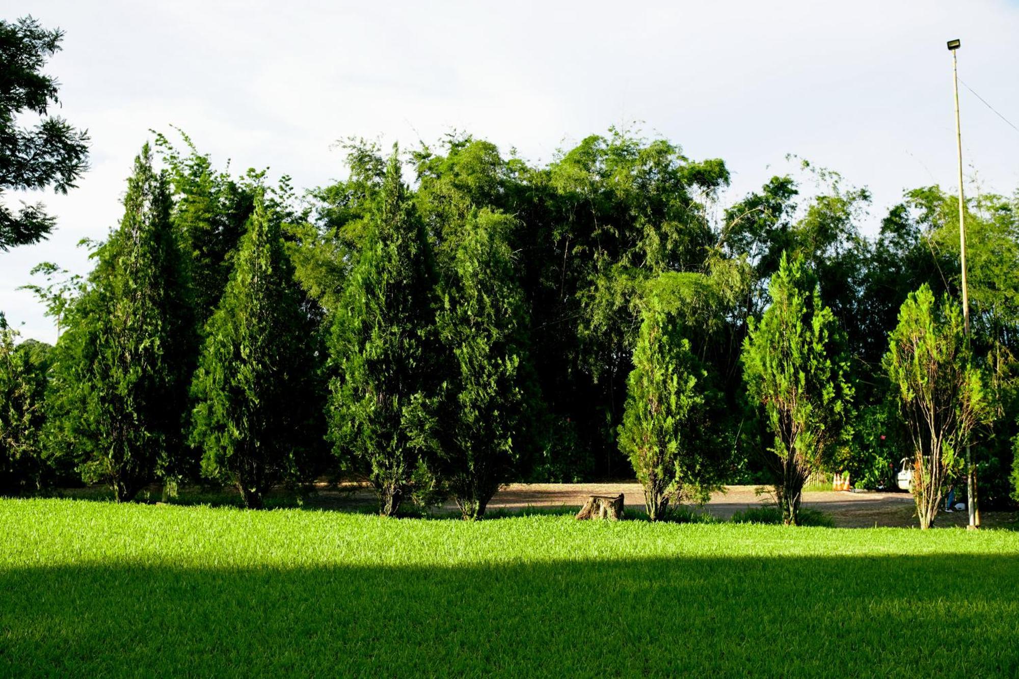 Velinn Hotel Natureza Foz Foz do Iguaçu Eksteriør billede